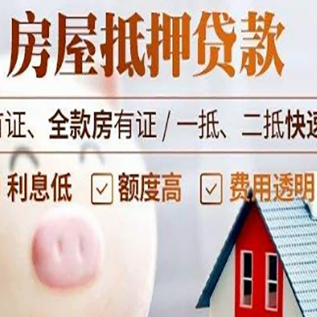 阆中贷款助贷公司新渝启服成立时间久